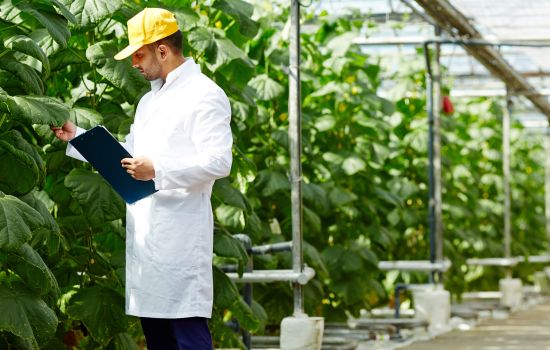 Plant Defence Association Service in the Agricultural Cooperative of Sant Antoni